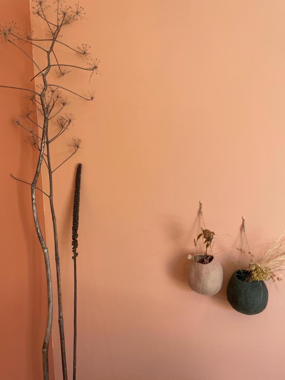 Les Petites Maisons Sotta Bagian luar foto